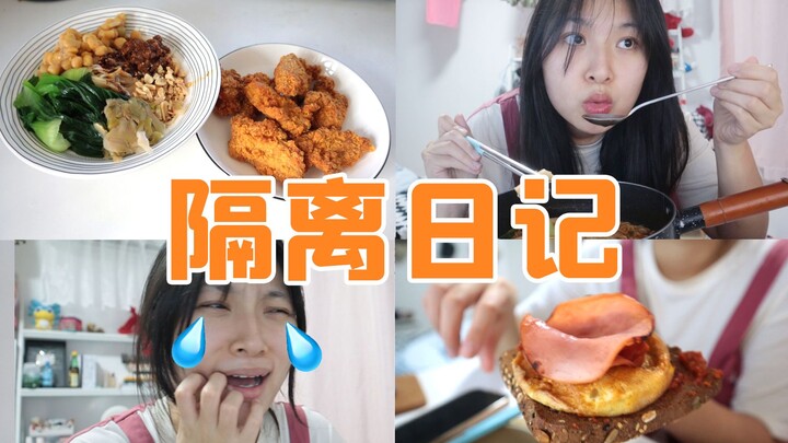 Mana ada orang yang tidak gila, hanya saja mereka tetap bertahan! Hari Jadi Karantina – Vlog Bekerja