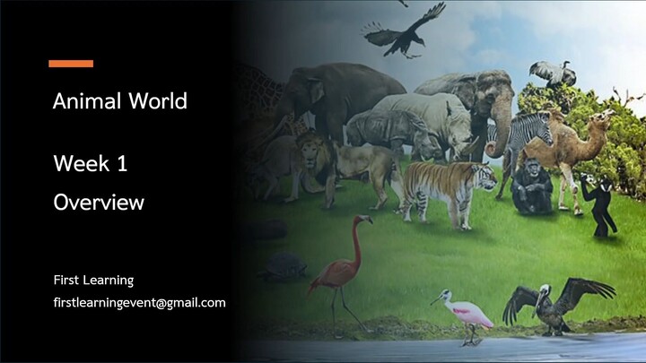 แนะนำรายวิชา Animal World