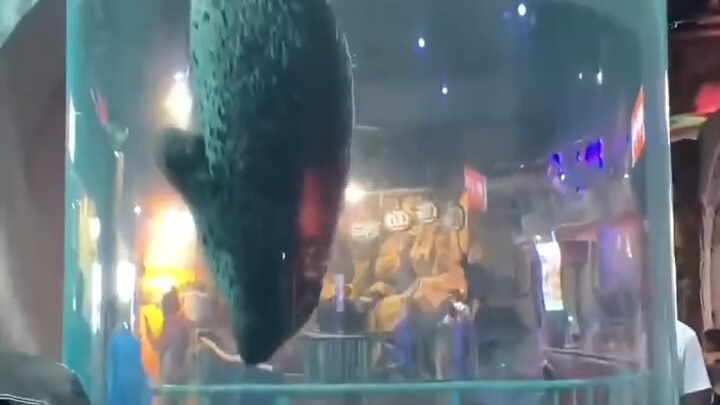 【blueszzs】 الفيديو يجري تحميله، سارع بالتحقق من المفاجأة!