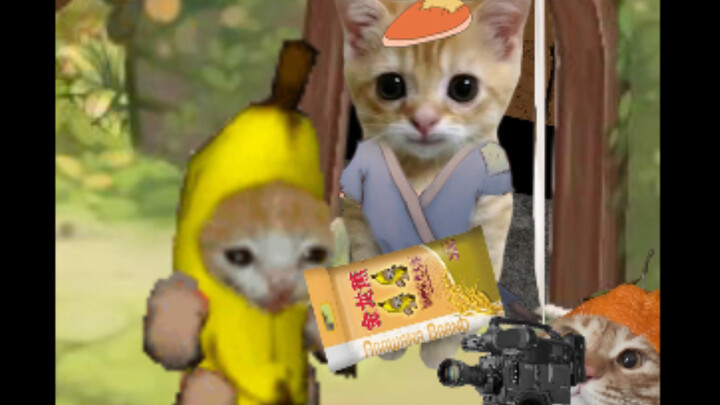 Banana Cat Community Spreads Warmth: Dolls Drop Rice “Noodles”—They Want It All!