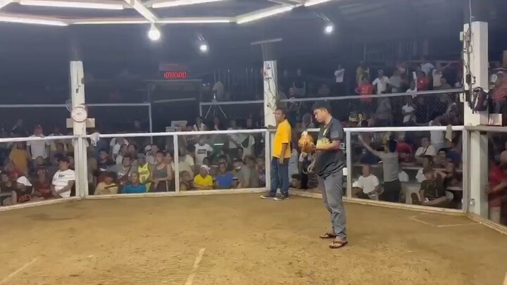 2nd entry win 4-cock Jun 22, 2025 bxu