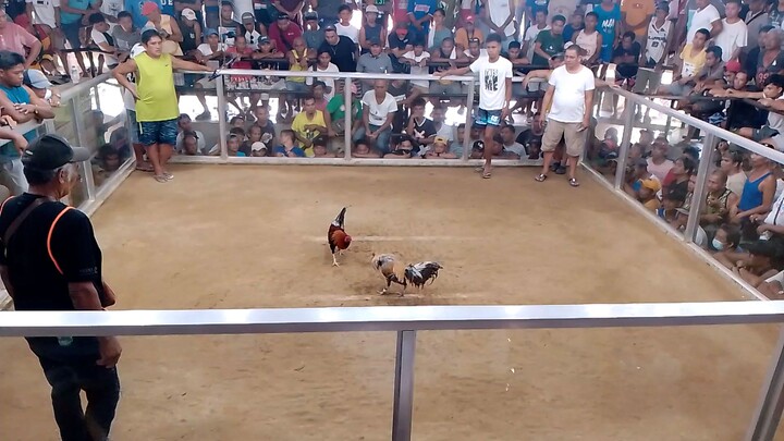 April 07,2024 Tubigon Cockpit Arena (Ferrol)