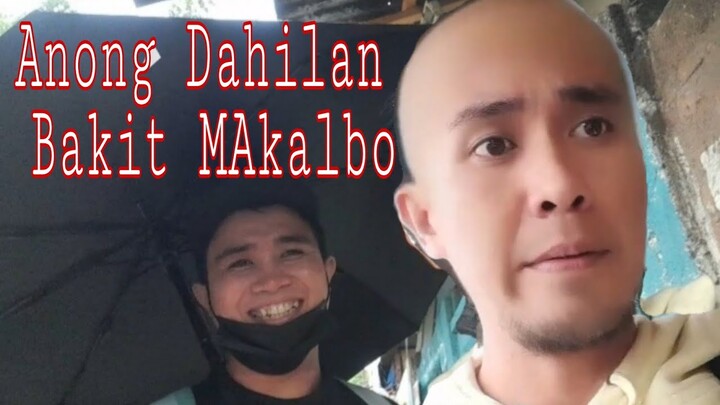 Anong dahilan bakit Makalbo