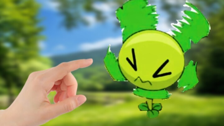 Teaching you how to grow a clover!