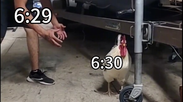 When You Wake Up Before Your Alarm Sounds