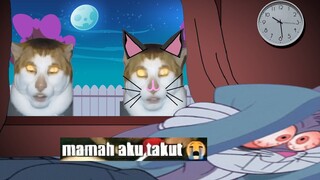 Mau Tidur Tapi Diteror Kucing Kuning Monday Left Me Broken...