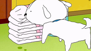 "Magical Dog Xiaobai"