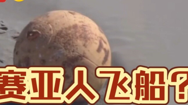 Bola tak dikenal ditemukan di lepas pantai Jepang