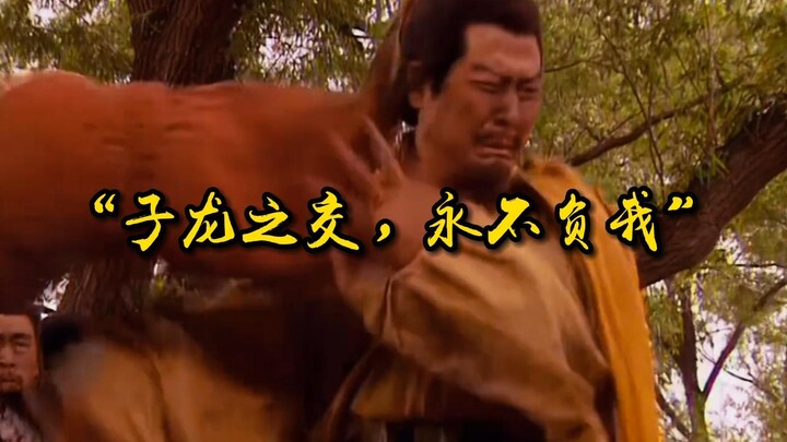 “子龙之交，永不负我”