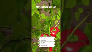 Susahnya Menjadi Seorang Petani Di Tahap Tutorial 🤣#games #simulator #tiktok #funny #gaming #shorts