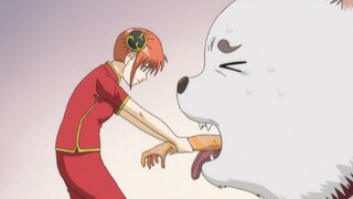 Gintama: Hãy đến xem, Dingchun đã ăn gì!