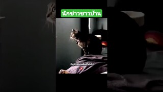 นักข่าวชาวบ้าน