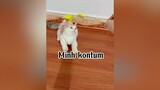 Kênh của mẹ Minh  Baiiii Minh nha cat mèo