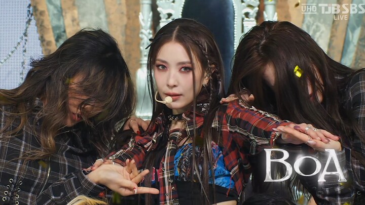 【4K 60fps】BoA - Forgive Me (221127 SBS UHD Inkigayo)