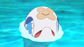 [Pokémon] Đừng đánh giá thấp con mực!