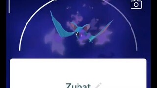 Pokémon GO-Purifying Shadow Zubat