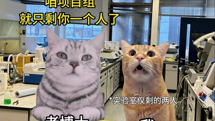 Saat Hanya Aku yang Tersisa di Laboratorium