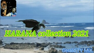 HARANA collection 2021