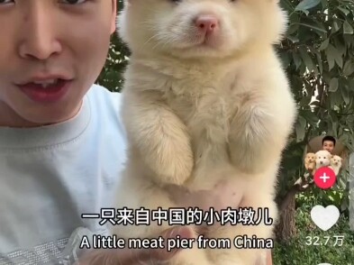 Video về cậu bé Tiểu Nhục Đôn đến từ Sơn Đông trên TikTok đã đạt 320 nghìn lượt thích