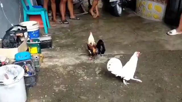 TUPADA UNANG LABAN NI SANTA CLUES ULO LANG TAMA...