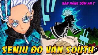 Senju Hạ Đo Ván South | Sức Mạnh Của Thủ Lĩnh Băng Phạm Trong Tokyo Revengers