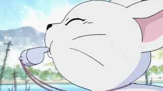 [Cuộc phiêu lưu của thú Digimon] Sự tiến hóa của thanh xuân đã hết