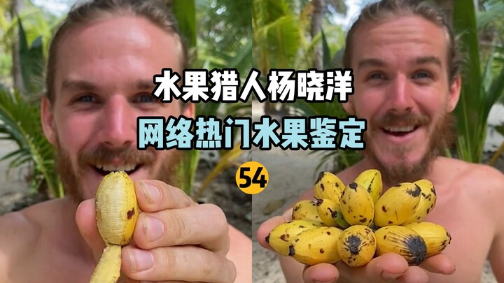 【صياد الفواكه】 تحديد هوية الفواكه الشائعة على الإنترنت 54