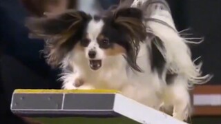 นี่แหละคือเสน่ห์ของกีฬาการแข่งขัน ใช่เลย!