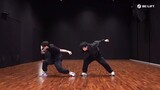 black swan choreography