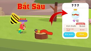 (Play Together) Đi tìm Côn Trùng mới | không ngờ Sâu Bướm lại Hiếm đến vậy