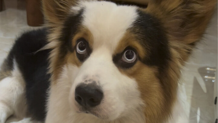 Family members tried it for you, and the feedback was pretty harsh.