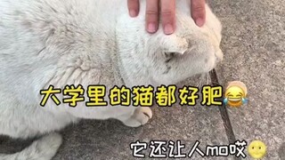 我躺在床上扒拉我的相册然后我发现以前做好的视频忘发了