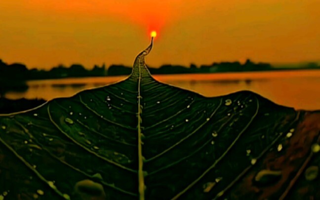 “Jalan Menuju Matahari”