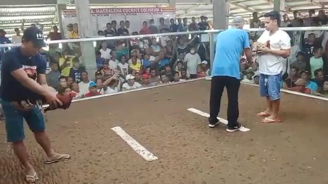 bulik win tayo sta. magdalena arena