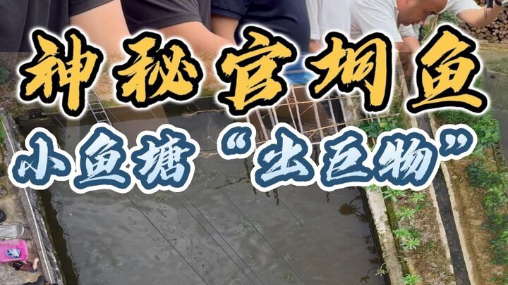 The old man’s little fish pond actually has a “several-dozen-jin” monster.