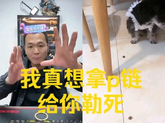 Con bé này cứng đầu quá, bảo làm gì thì cứ làm đi là xong mà!