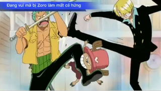 Đang vui mà Zoro phá đám #anime #onepiece