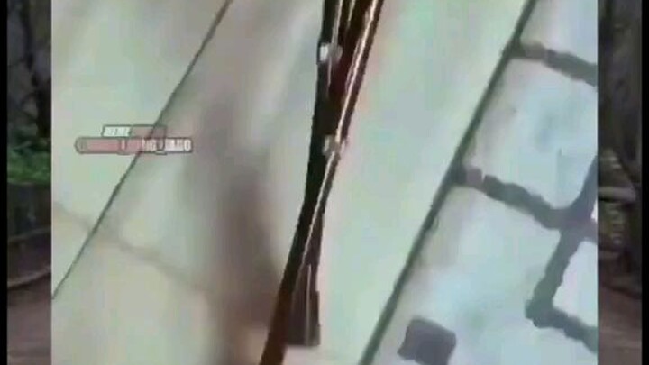 video ngakak, asupan harian biar goodmod