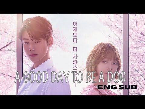 A Good Day To Be A Dog | Trailer 3 | Korean drama [Eng Sub] | Park Gyu Young and Cha Eun Woo