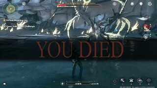 [Wuthering Waves: CBT 1] When the boss had enough of you