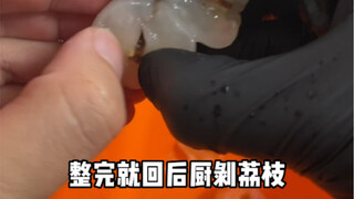 做gelato 到拨荔枝都出经验了