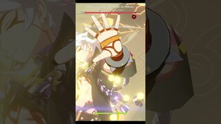 Mono Geo VS  Raiden Shogun