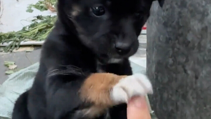 น่ารักมาก น้องมือเล็กนุ่มๆเลย