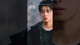 I Love You for what you are ❤️😭| #agooddaytobeadog #chaeunwoo #parkgyuyoung