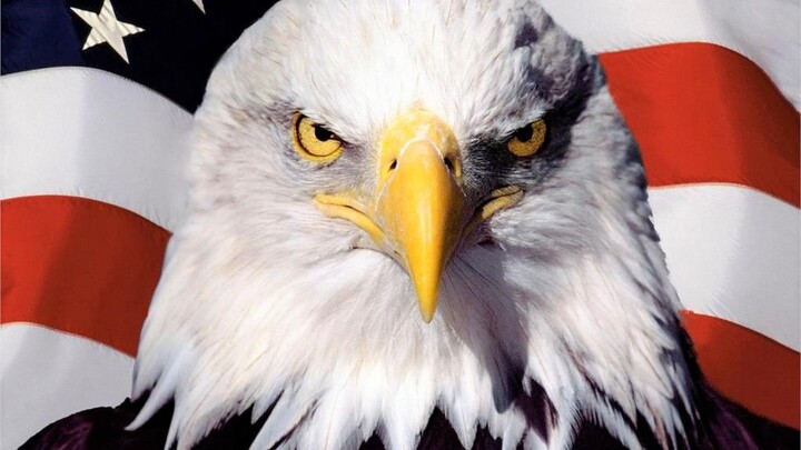 [Baru • Lagu Kebangsaan Amerika Serikat?] Aku harus menerjemahkannya!