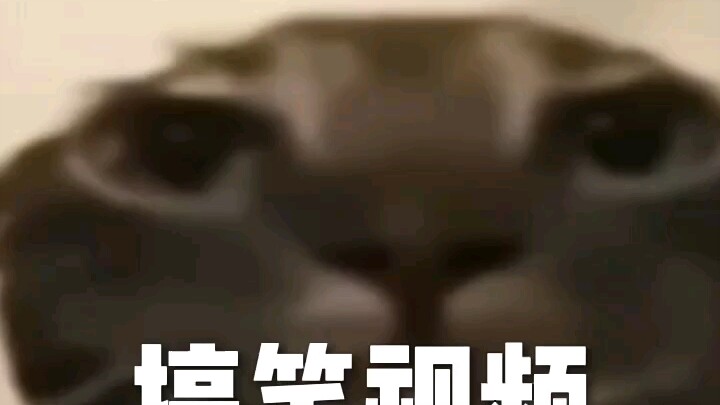 บุญกุศลประจำวัน