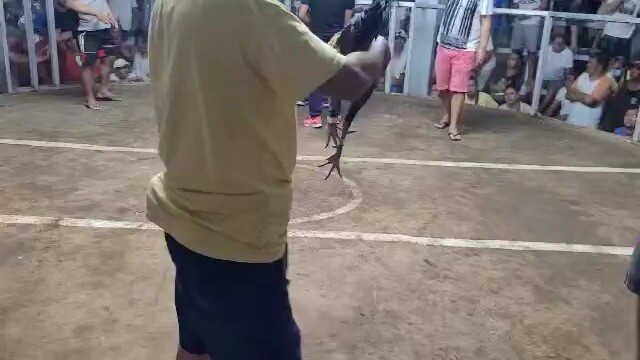 2 hits champion 2nd fight (march 2023)