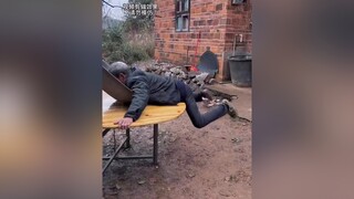 cười rớt nước mắt với hai cha con này 😂😂 xuhướngtiktok funny cườikhôngnhặtđượcmồm