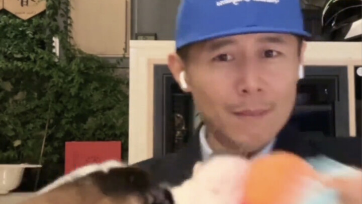 Cười chết mất thôi, thì ra hôm Đại Băng livestream bị chó “tung lên trời” và bị kéo đi là cùng một n