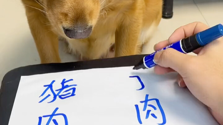 有文化的重要性……